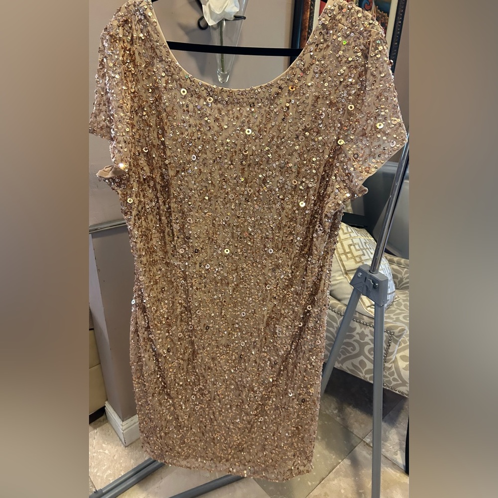 Adrianna Papell Sequin Dress 22W
